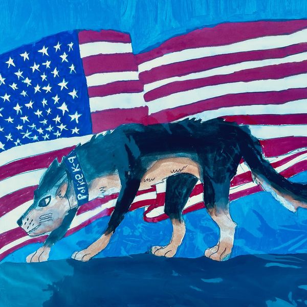 2018-08 American Police Dog