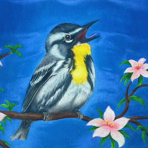 A Happy Bird Song