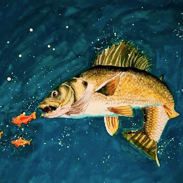 Mr Muskellunge