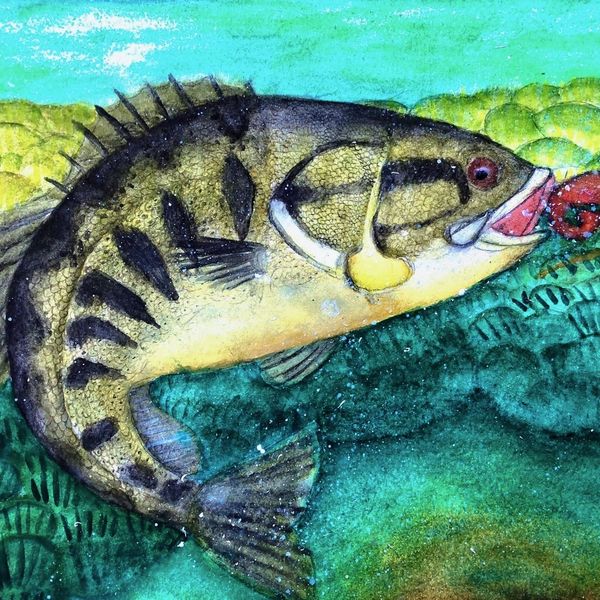 2020-11 Lazy River Fish
