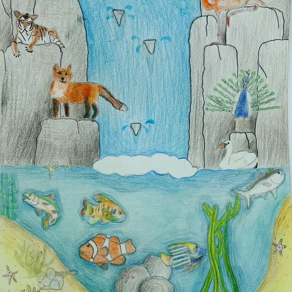 The Special Fox