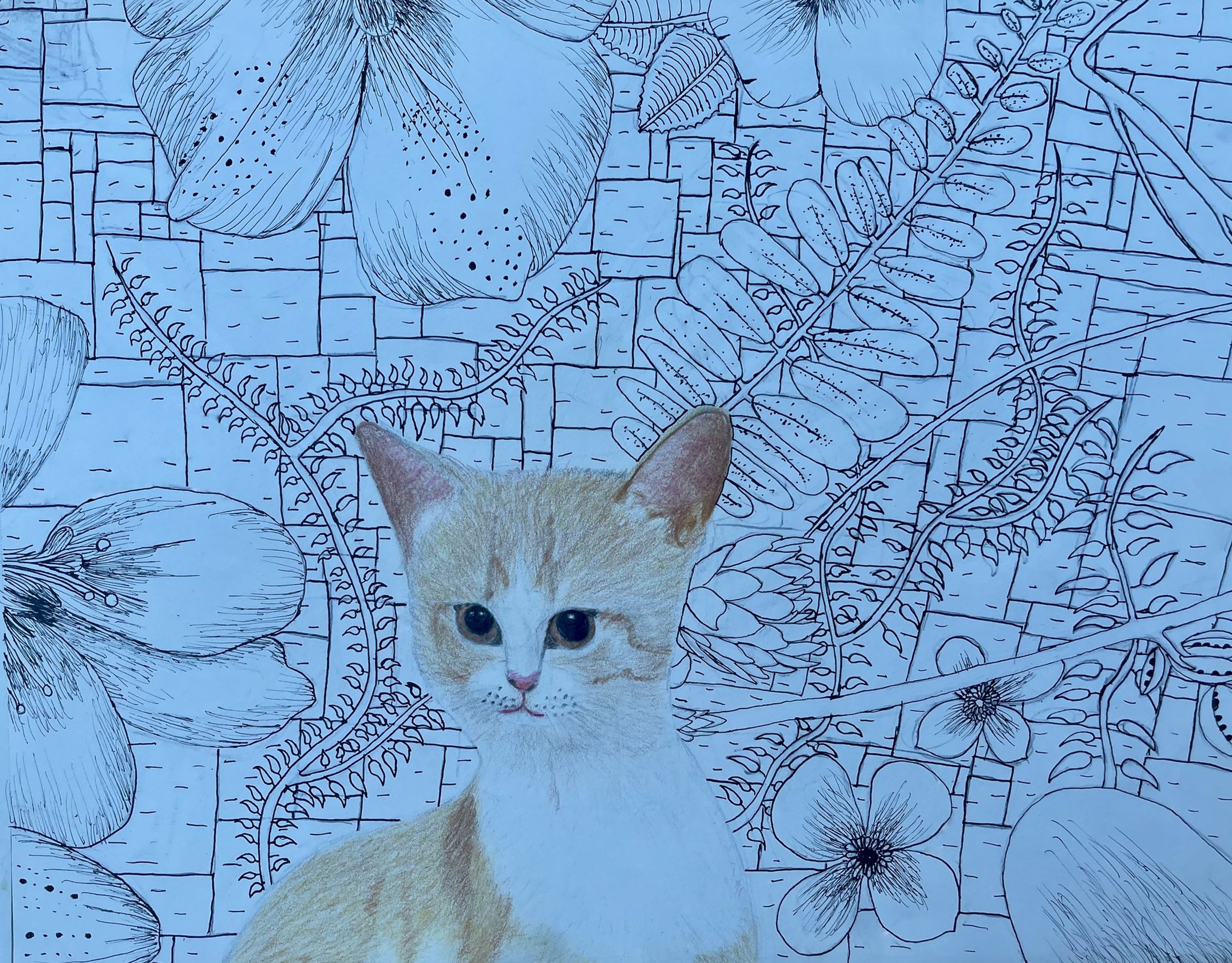 2020-12 Happy Cat