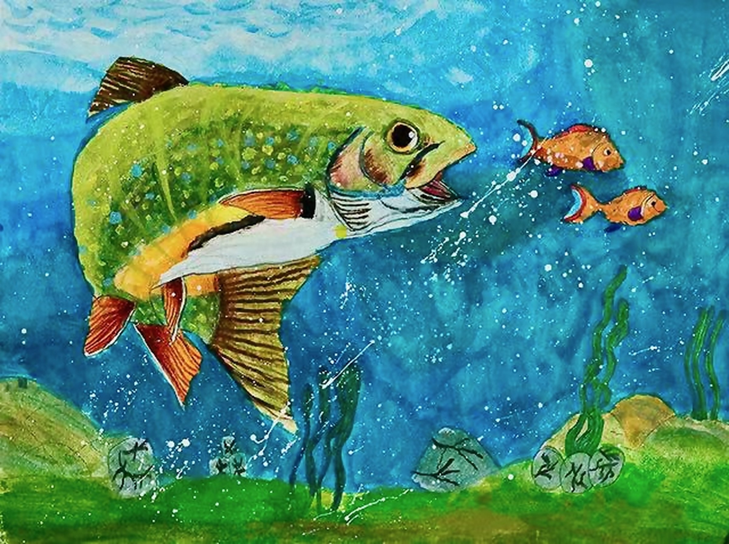 The Nature of the Red Drum Fish
