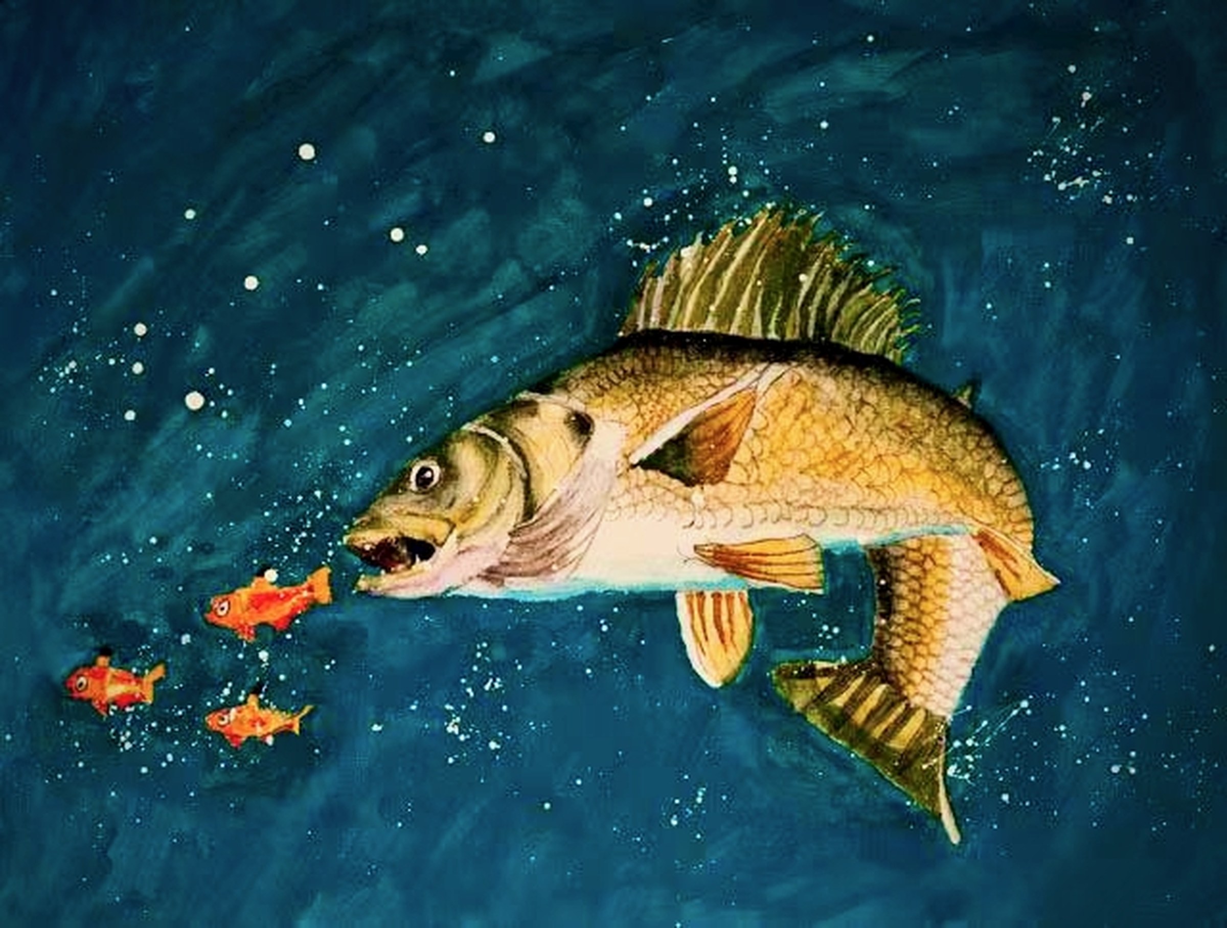 Mr Muskellunge