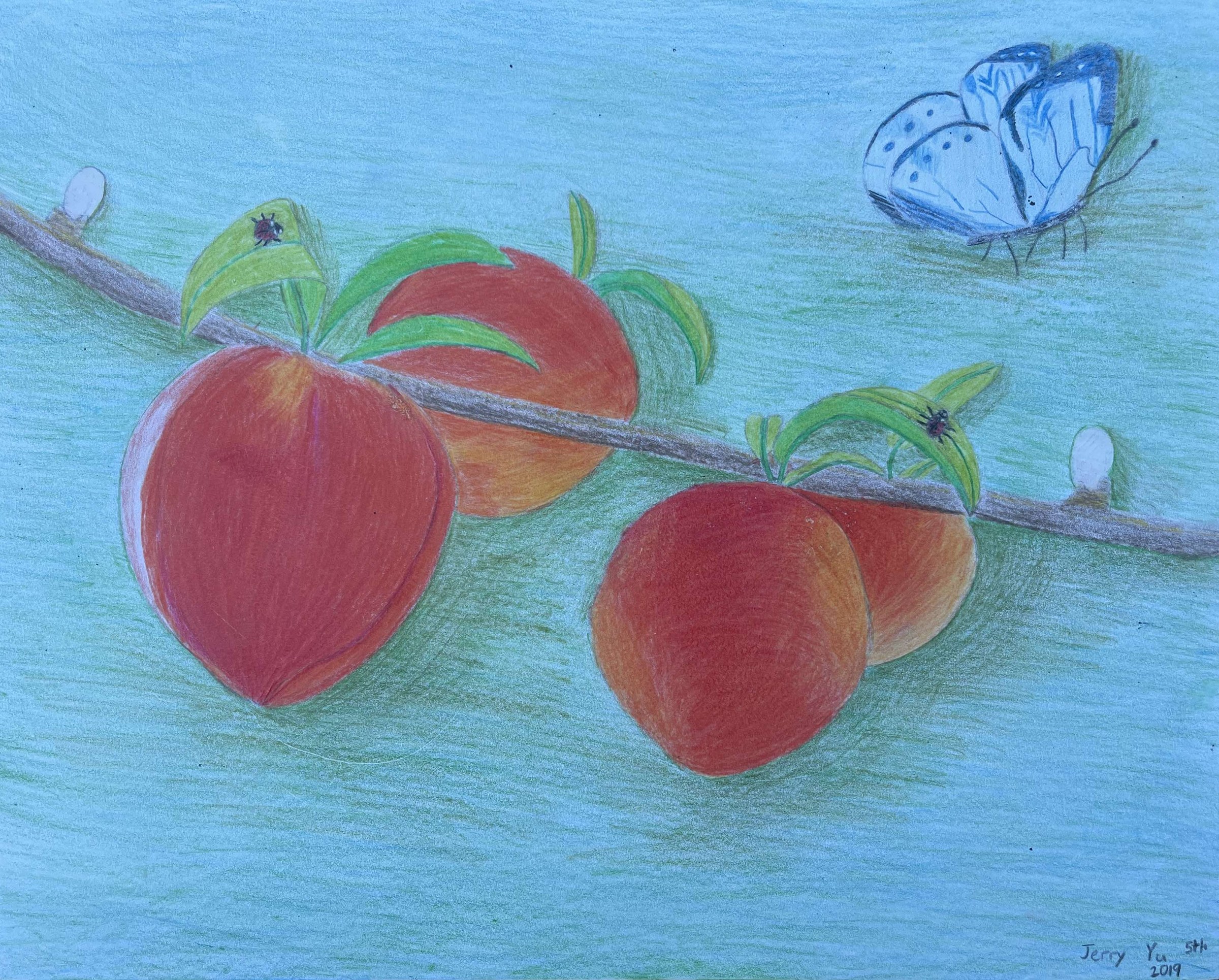 2019-05 Mango Tree